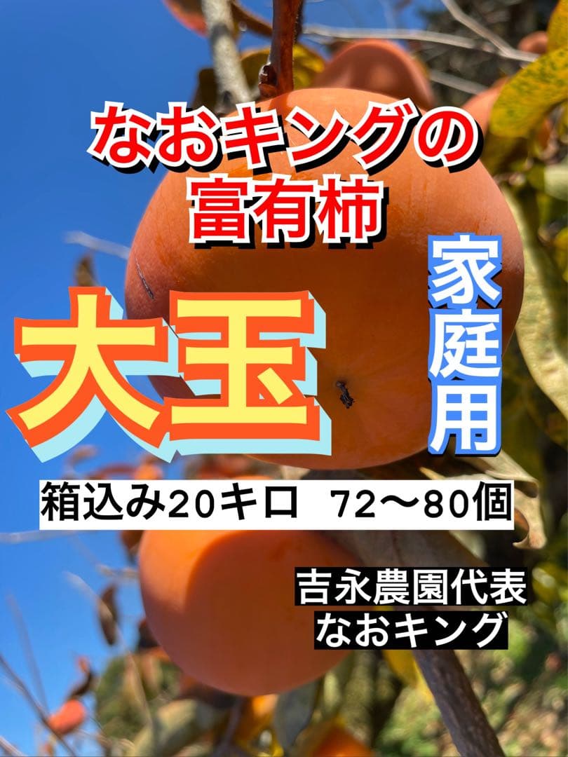 sokさん専用 柿 箱込 20キロ 富有柿 家庭用