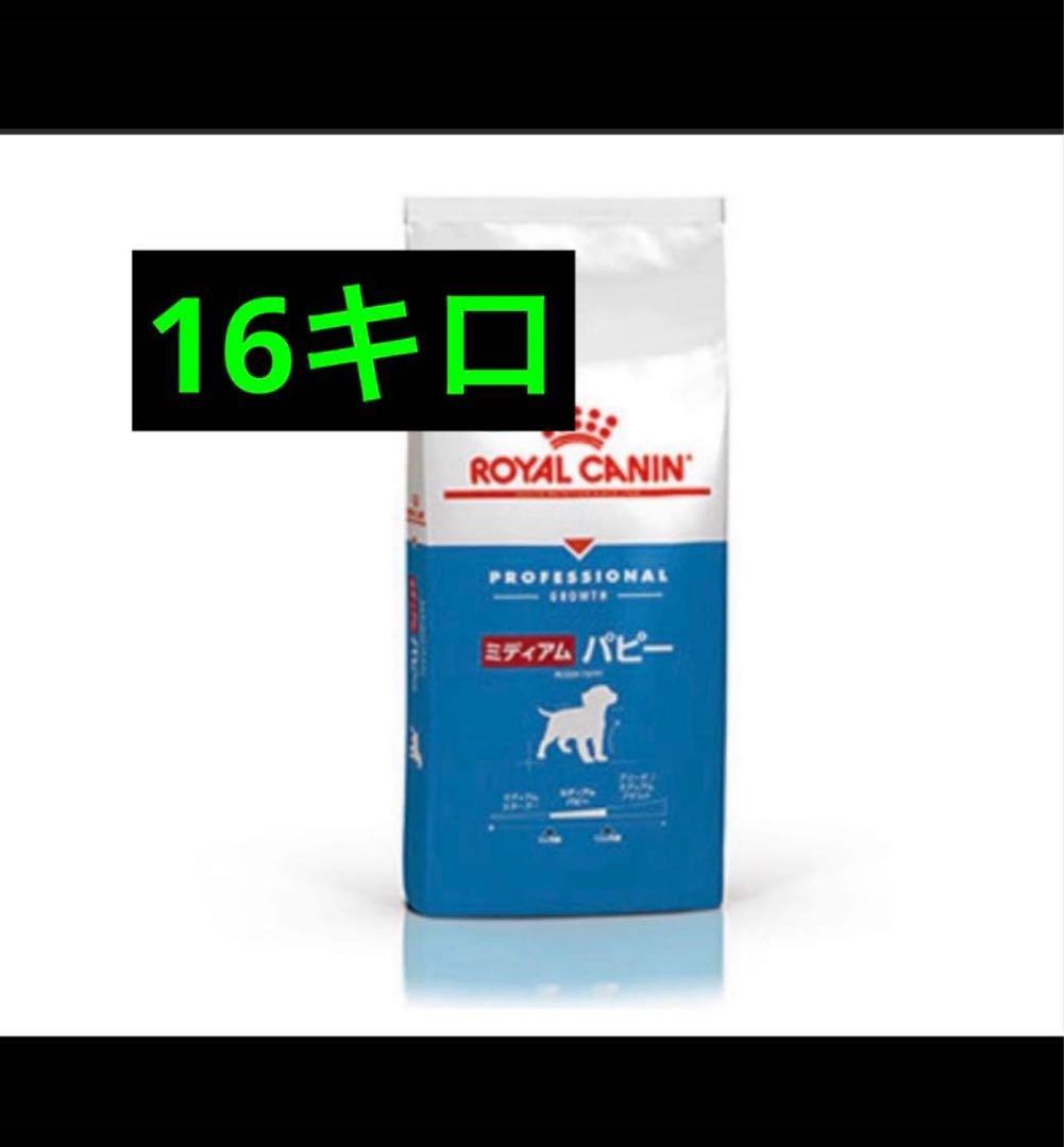  CANIN ロイヤルカナン　中型犬子犬用ミディアム パピー 16kg