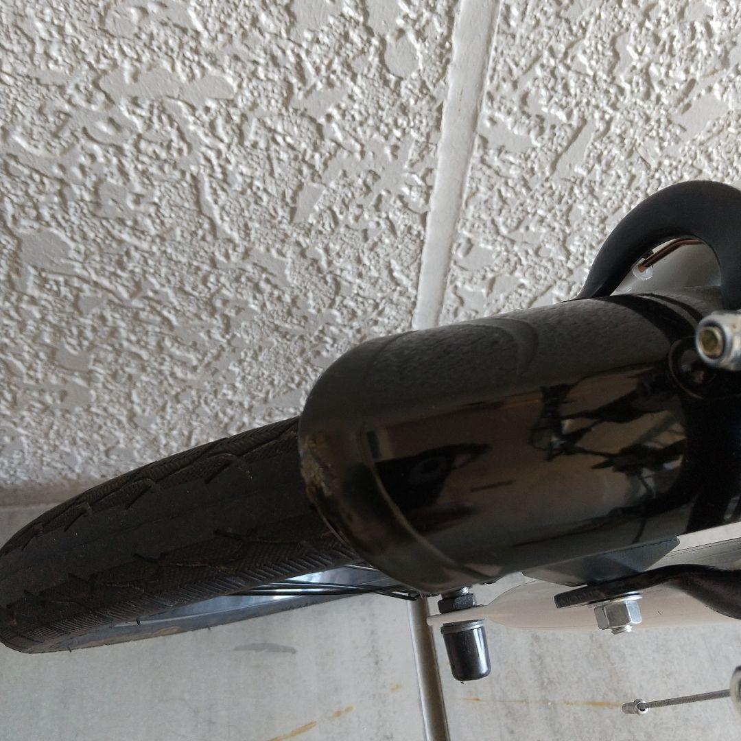 PANGAEA パンクしない折りたたみ自転車 FDB160-NP 16インチ