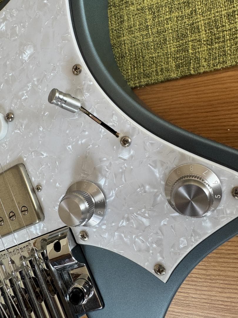 ギター Strandberg Classic 6 Trem