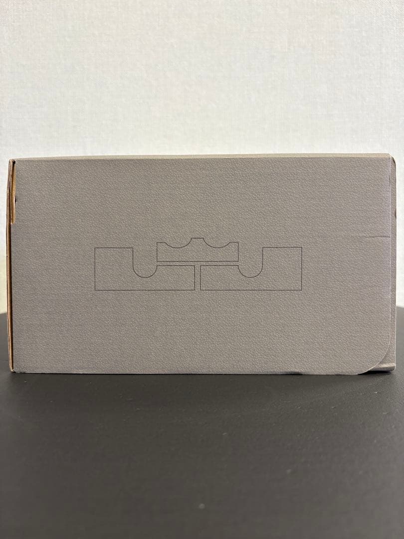 シューズ(男性用) NIKE LEBRON XVIII EP \"MELON TINT\" 28cm