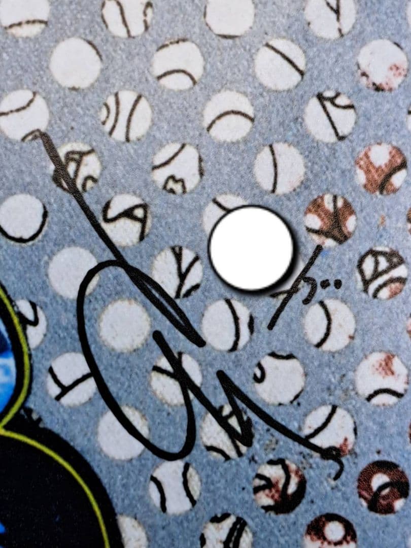 村上隆　シシ神と羅漢　ポスター　アート　人気画家　(草間彌生　奈良美智)