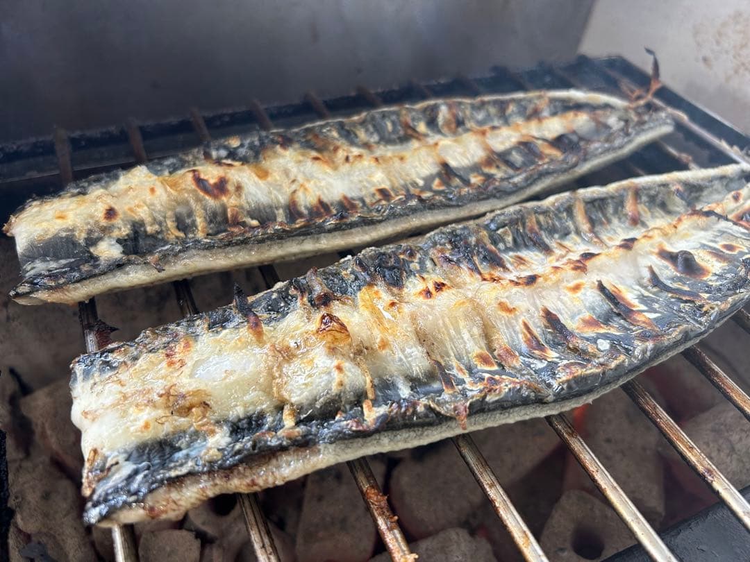 【極上うなぎ】大サイズ140g -170g　三河一色産　4尾セット　炭火焼き鰻