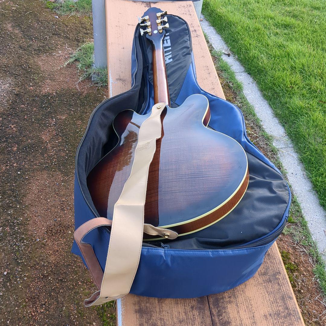 Michael Kelly セミアコギター スペシャル ギグバッグ ストラップ付