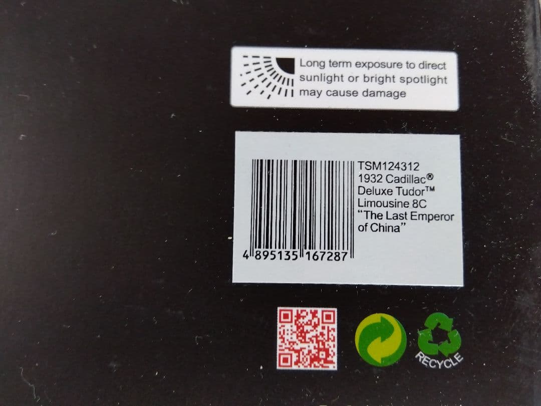 TSM vipカー　2台セット ロシア　中国