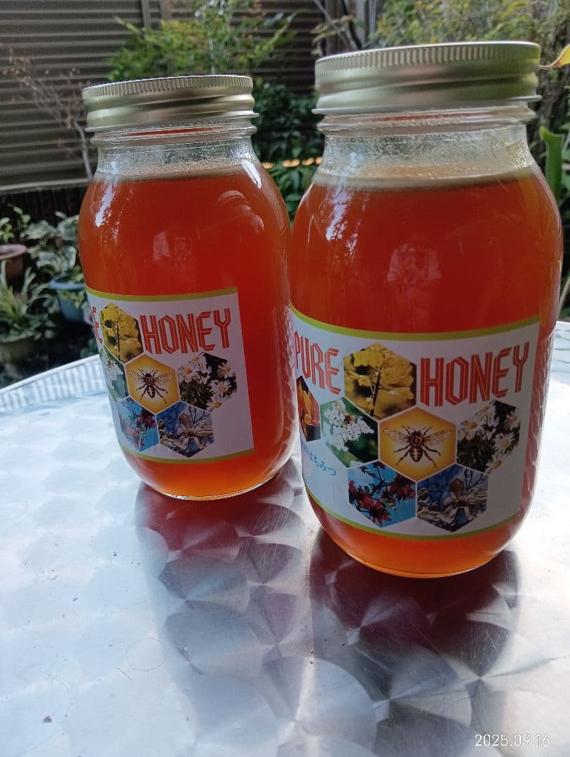 ニホンミツバチの百花蜜　天然 はちみつ 　1150グラム　2本セット