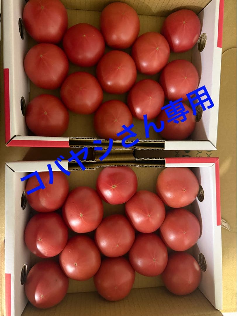 コバヤシさん専用 アメーラトマト10ケース