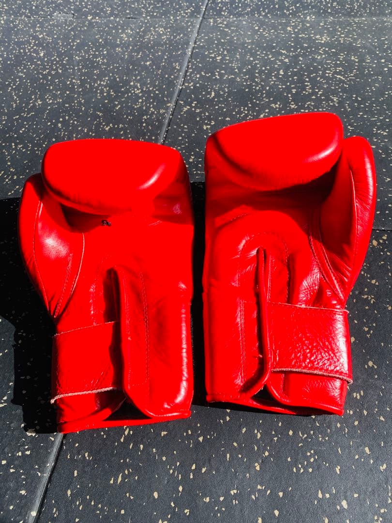 ISAMI （イサミ）スパーリンググローブ　ボクシンググローブ