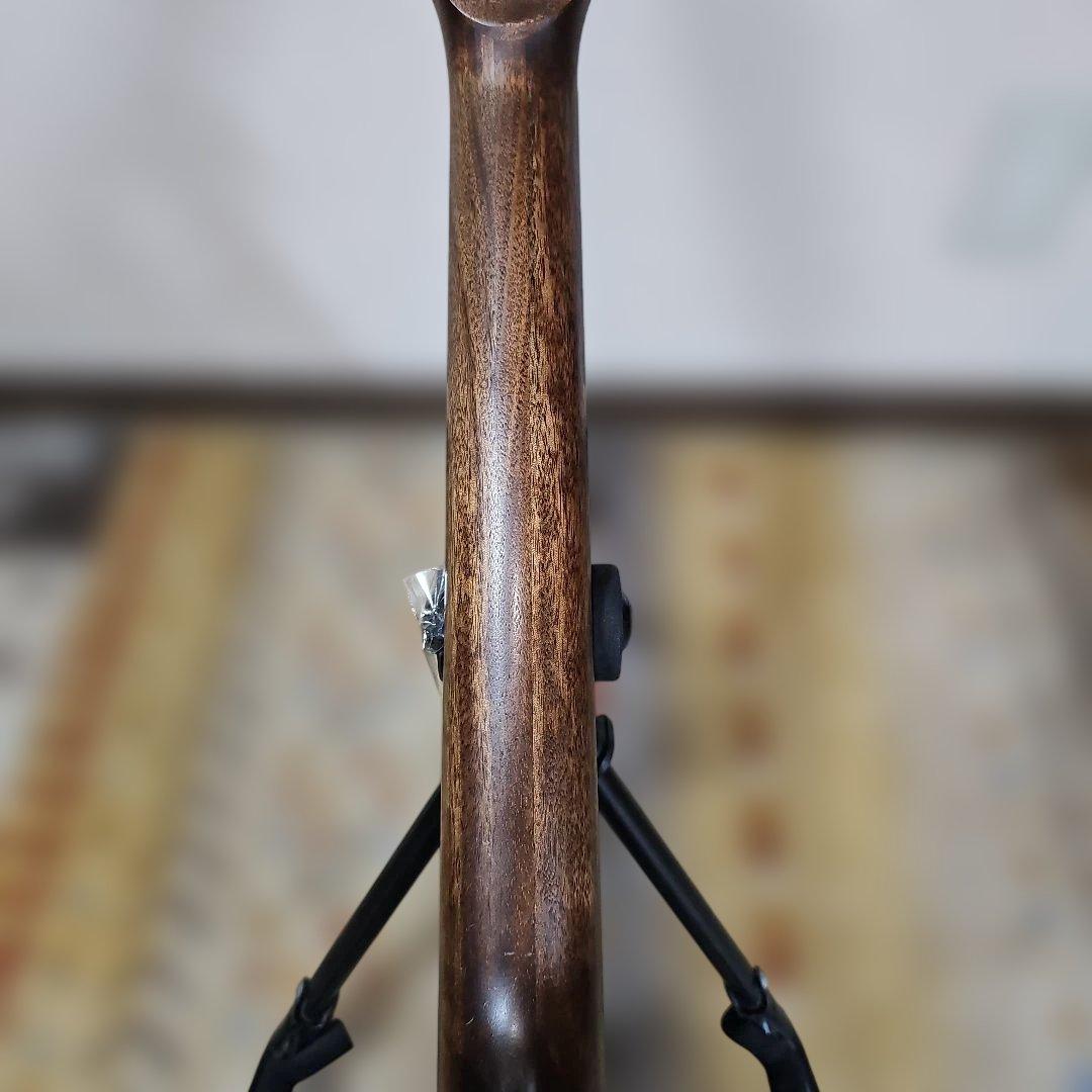 Stafford.SF-4DMオールマホ。トップ単板エレアコ。ソフトケース付き