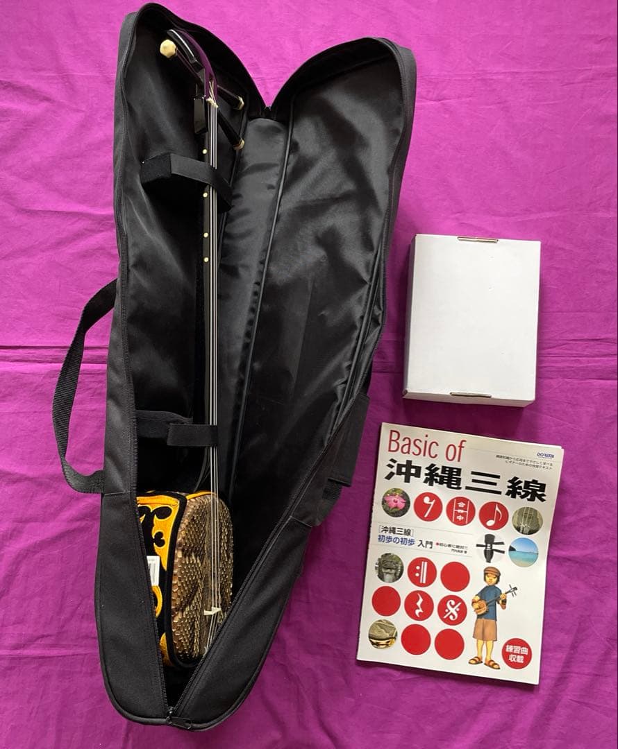 三線本体 ヘビ革 ケース付き