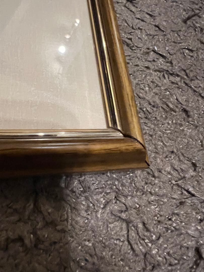 ワンピース　ONE PIECE 複製原画　ルフィ　ナミ　ゾロ　虎　龍　和　和の国