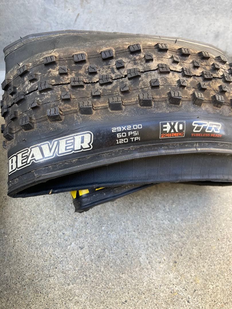 MAXXIS BEAVER 29x2.00 チューブレスタイヤ　マキシス