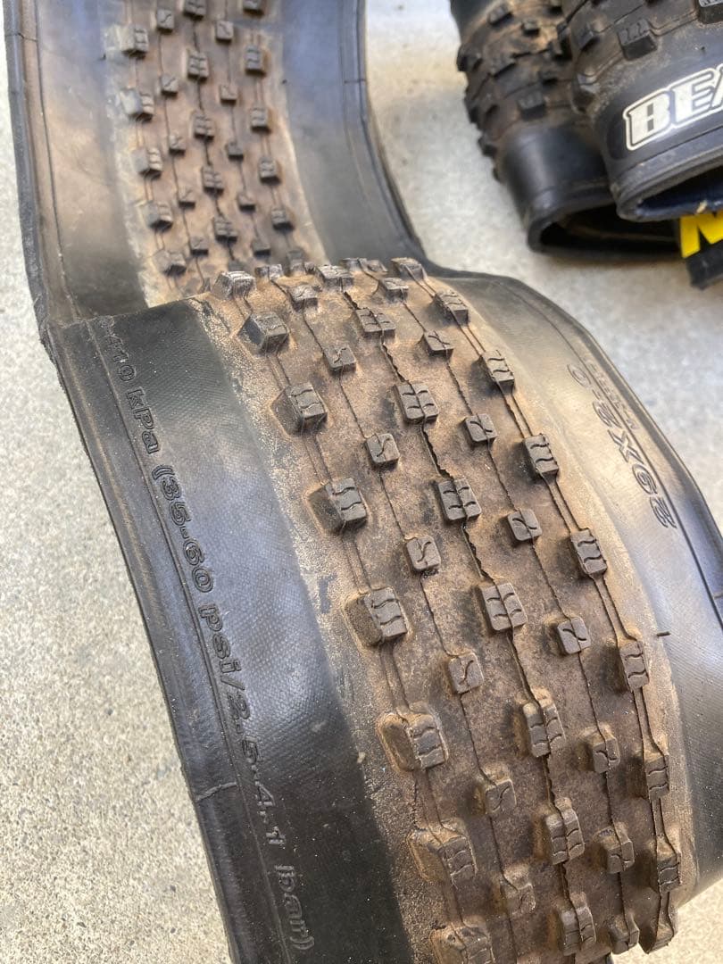 MAXXIS BEAVER 29x2.00 チューブレスタイヤ　マキシス