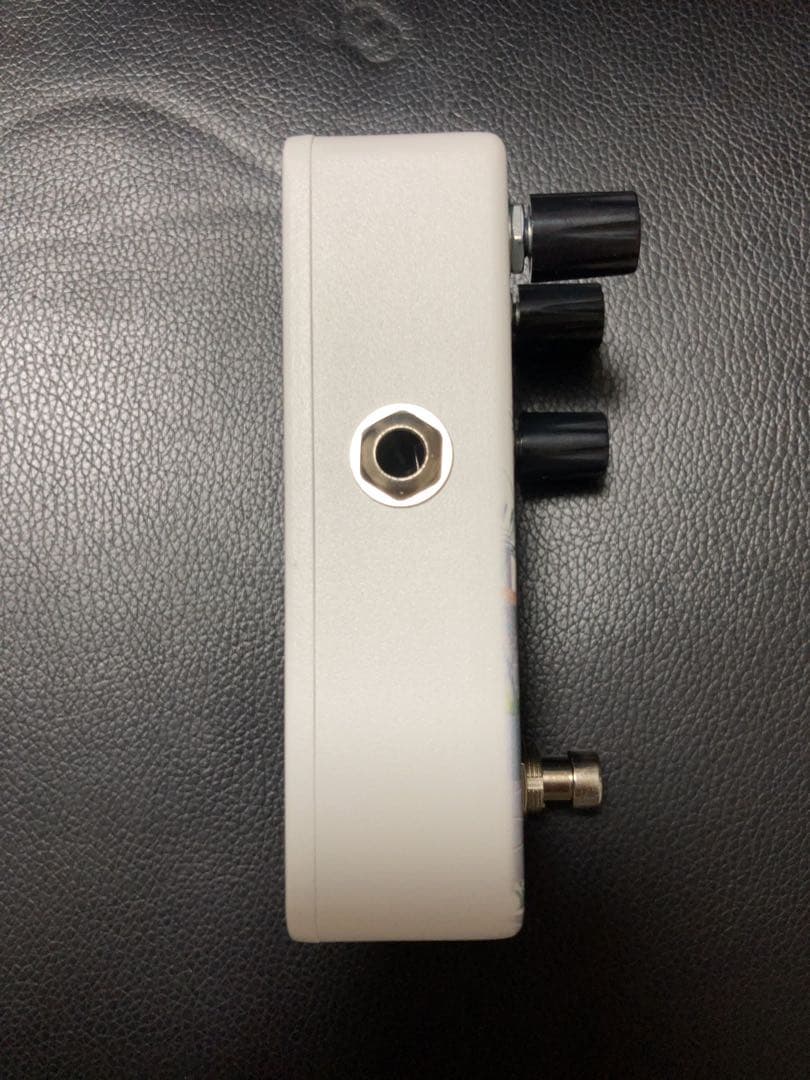 ギター Animals Pedal Fishing is as fun as fuzz