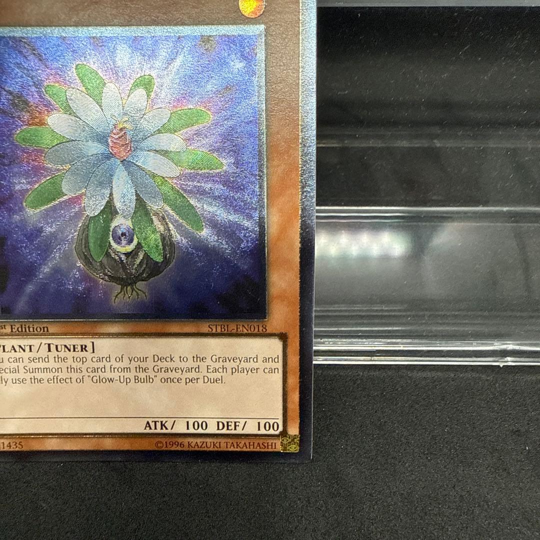 グローアップ・バルブ　1st 英語版　レリーフ