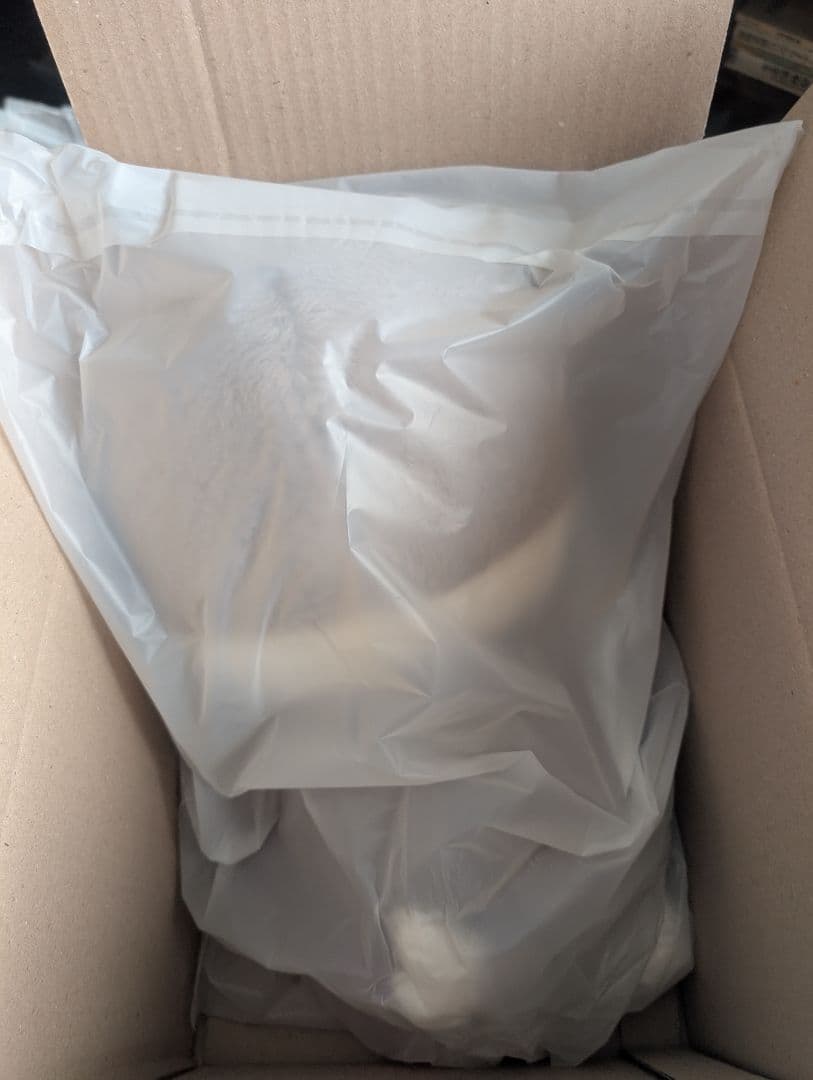 【未開封】StrayKids SKZOO テディベア ぬいぐるみ バンチャン