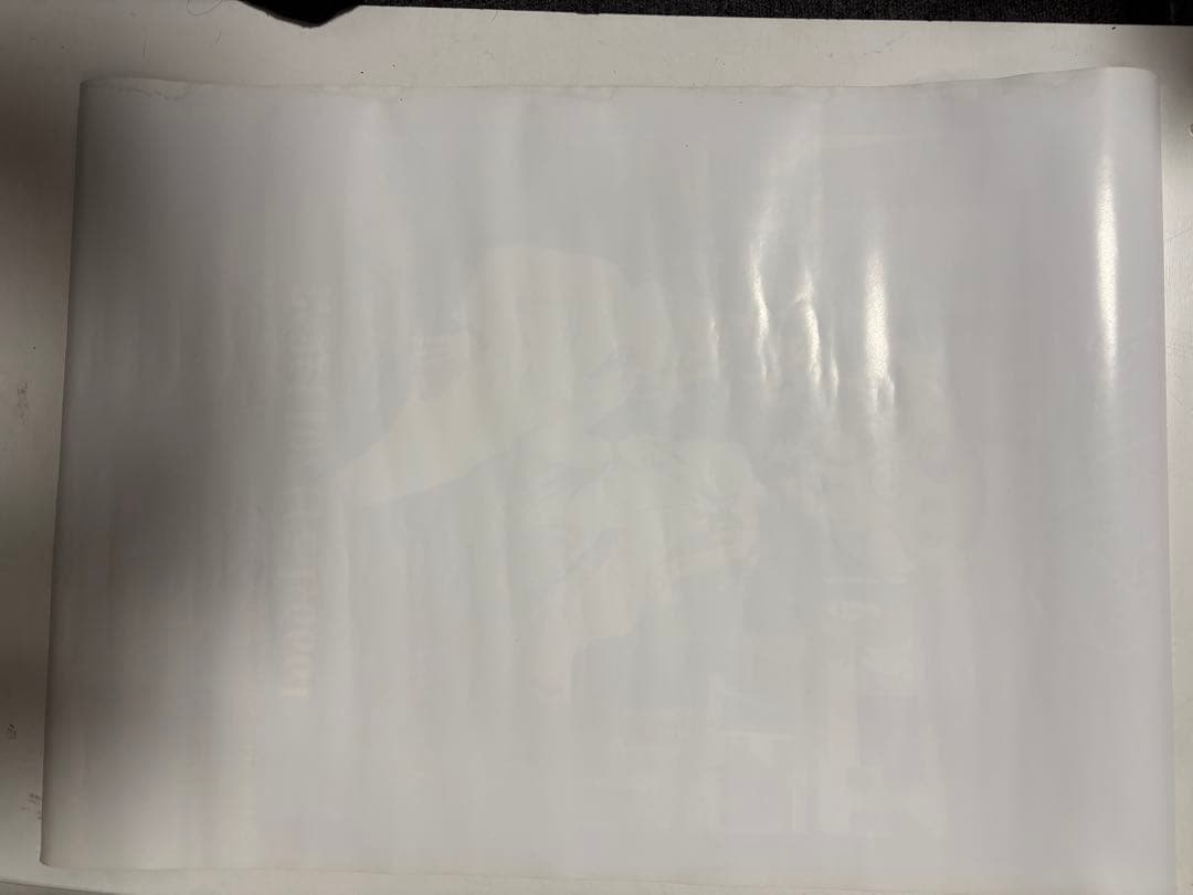 激レア‼︎Raphael Sick XXX患者のカルテ B2告知ポスター