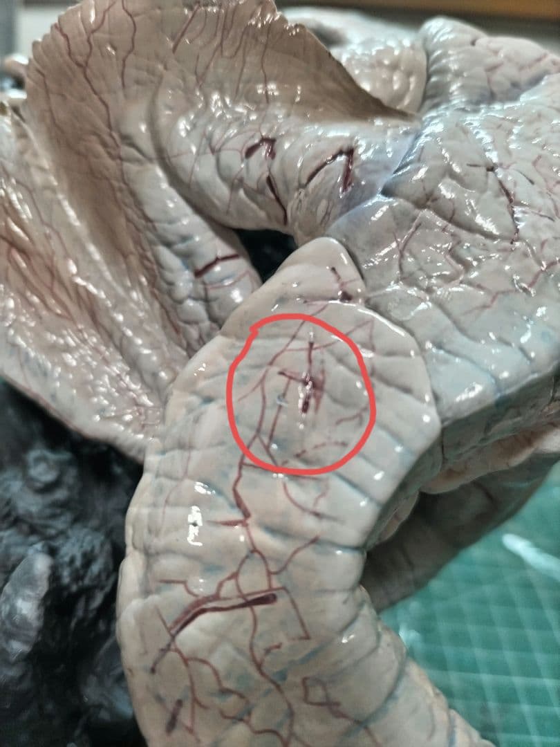 【専用につき購入禁止】クリエイターズモデル　フルフル