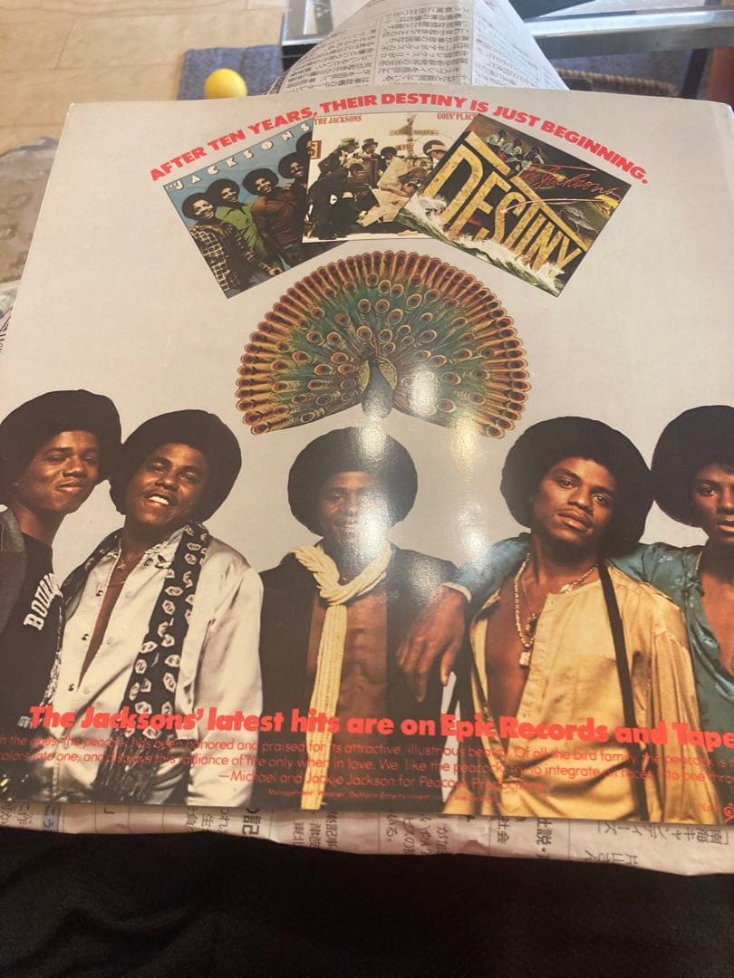 マイケルジャクソンジャクソンズ1979ツアーパンフレットmichael