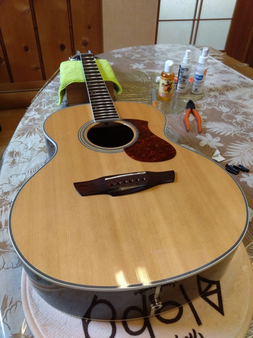 ギター Jamse J-450A