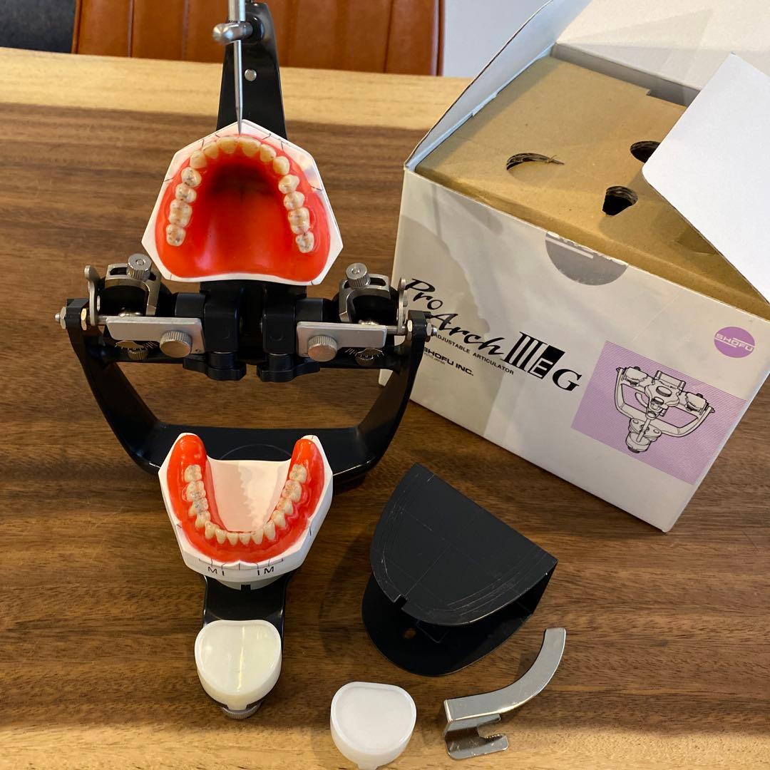 プロアーチⅢEG 半調節咬合器 蝋模型付き 歯科技工