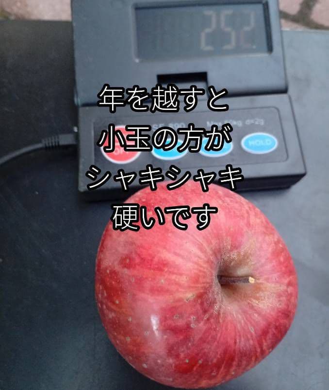 【糖度20度超】信州高山村の小玉フジ12キロシャキシャキ、ジューシーなりんご