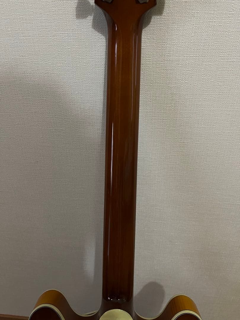 Eastman T486 Gold Burst セミアコ イーストマン