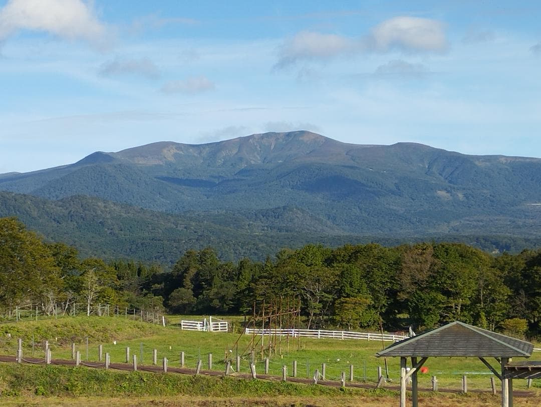 ひとめぼれ　精米10㎏　7年産　宮城県　柿渋袋　送料込　農家直送　米　10キロ