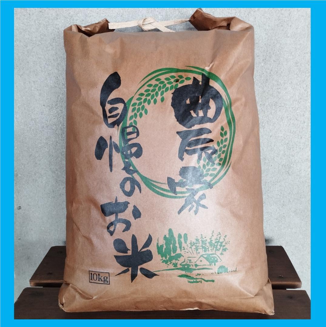 ひとめぼれ　精米10㎏　7年産　宮城県　柿渋袋　送料込　農家直送　米　10キロ