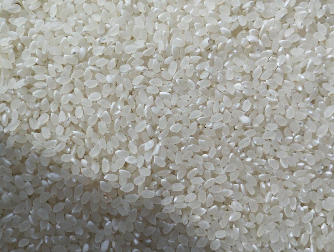 ひとめぼれ　精米10㎏　7年産　宮城県　柿渋袋　送料込　農家直送　米　10キロ