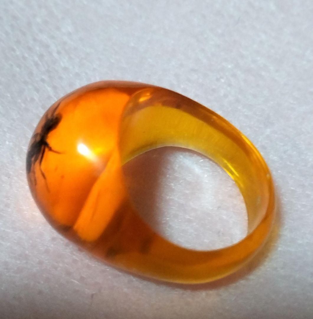 昆虫入り琥珀リング オレンジ