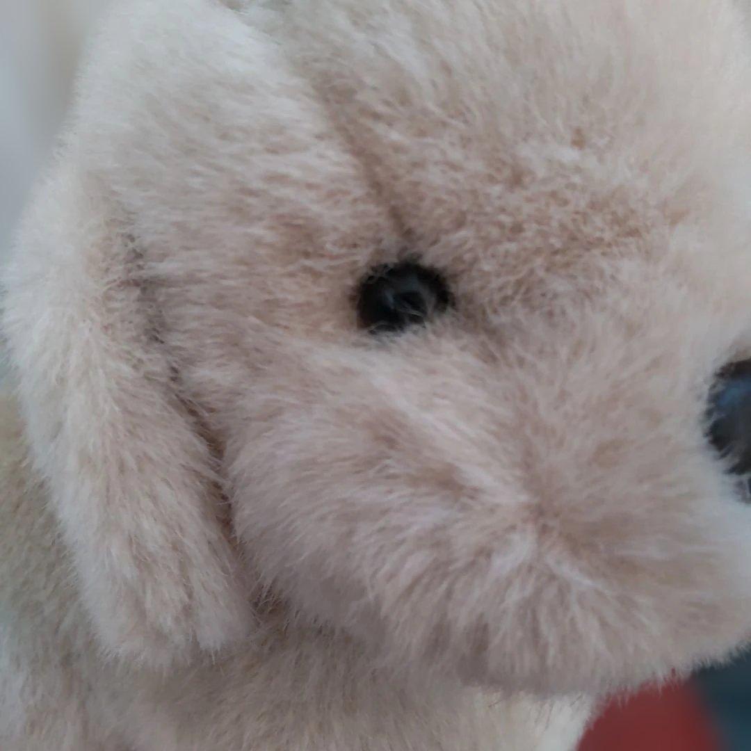 うめ吉　オリエンタルトーイ　日本製