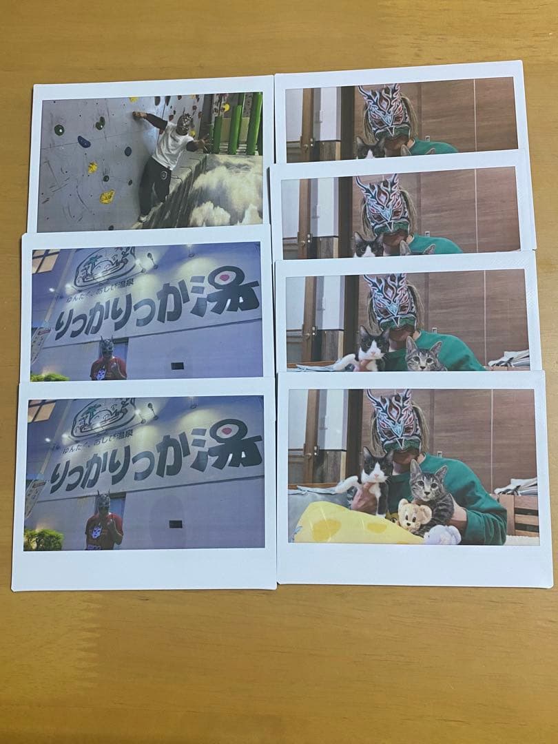 ドラゴンゲート ワイドチェキ PARADOXセット