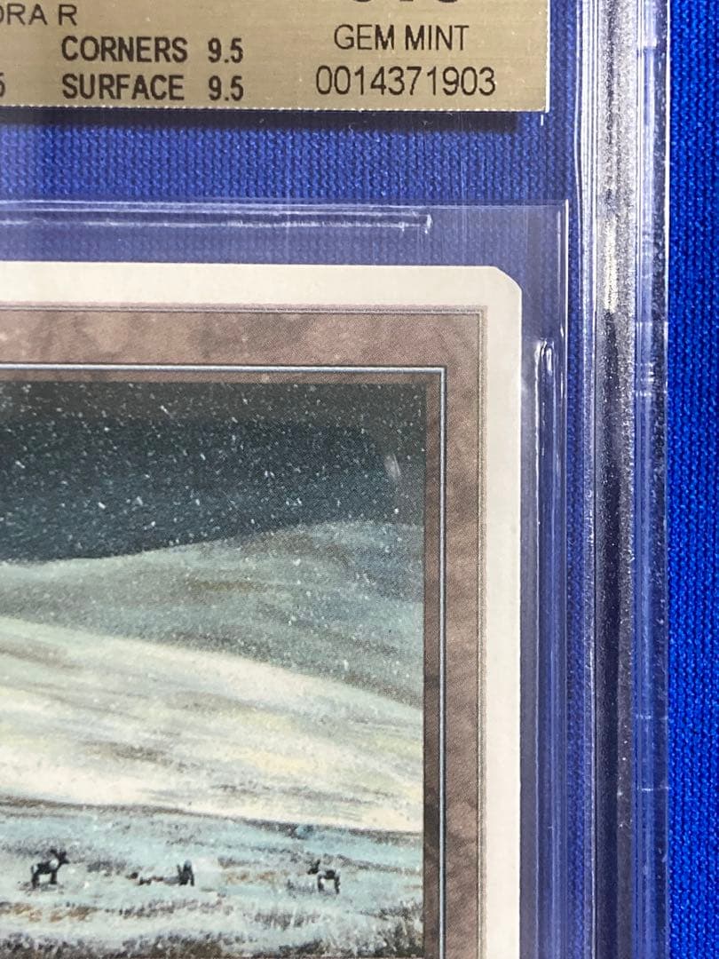 イタリア語 Revised Tundra dual land BGS9.5鑑定品