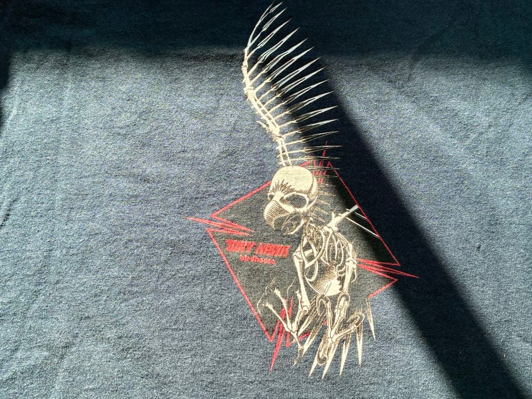 【最終値下げ】トニーホーク vtg tシャツ santa cruz