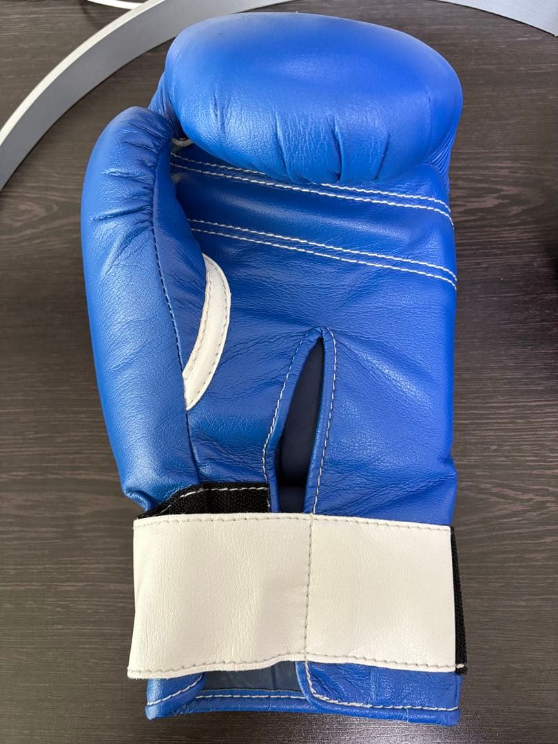 Winning ボクシンググローブ 10 oz 青　新品未使用　ソフトタイプ