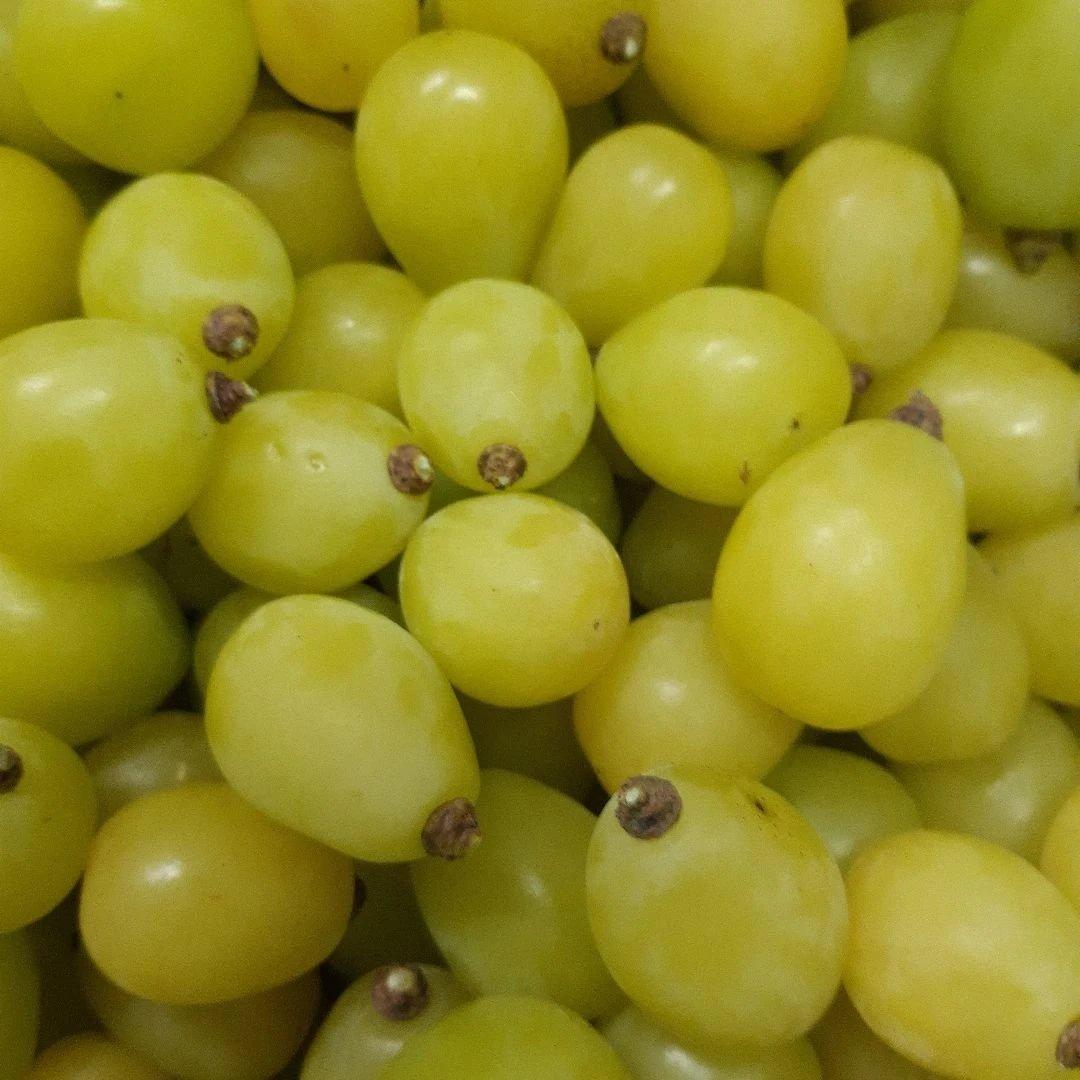 完熟多め入り粒5キロパック入り