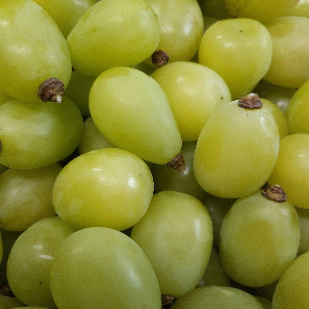 完熟多め入り粒5キロパック入り