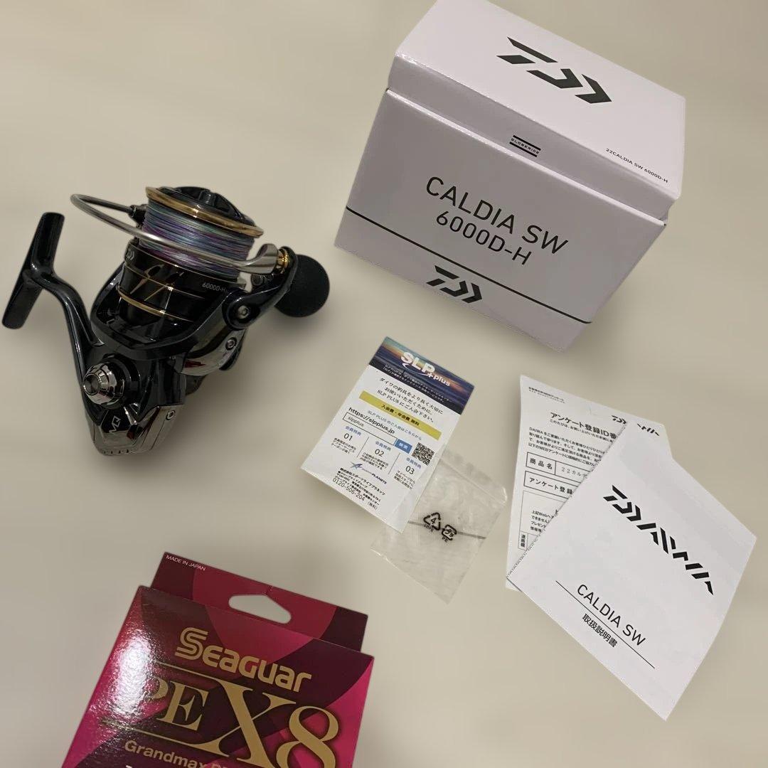 Daiwa 22 CALDIA SW 6000D-H 22カルディア スピニング
