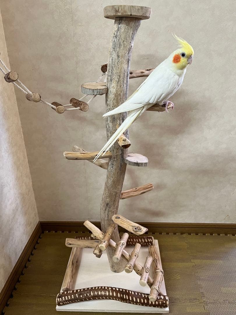 鳥インコ止まり木 流木バードアスレチックタワー型 大サイズバードジムバードトイ