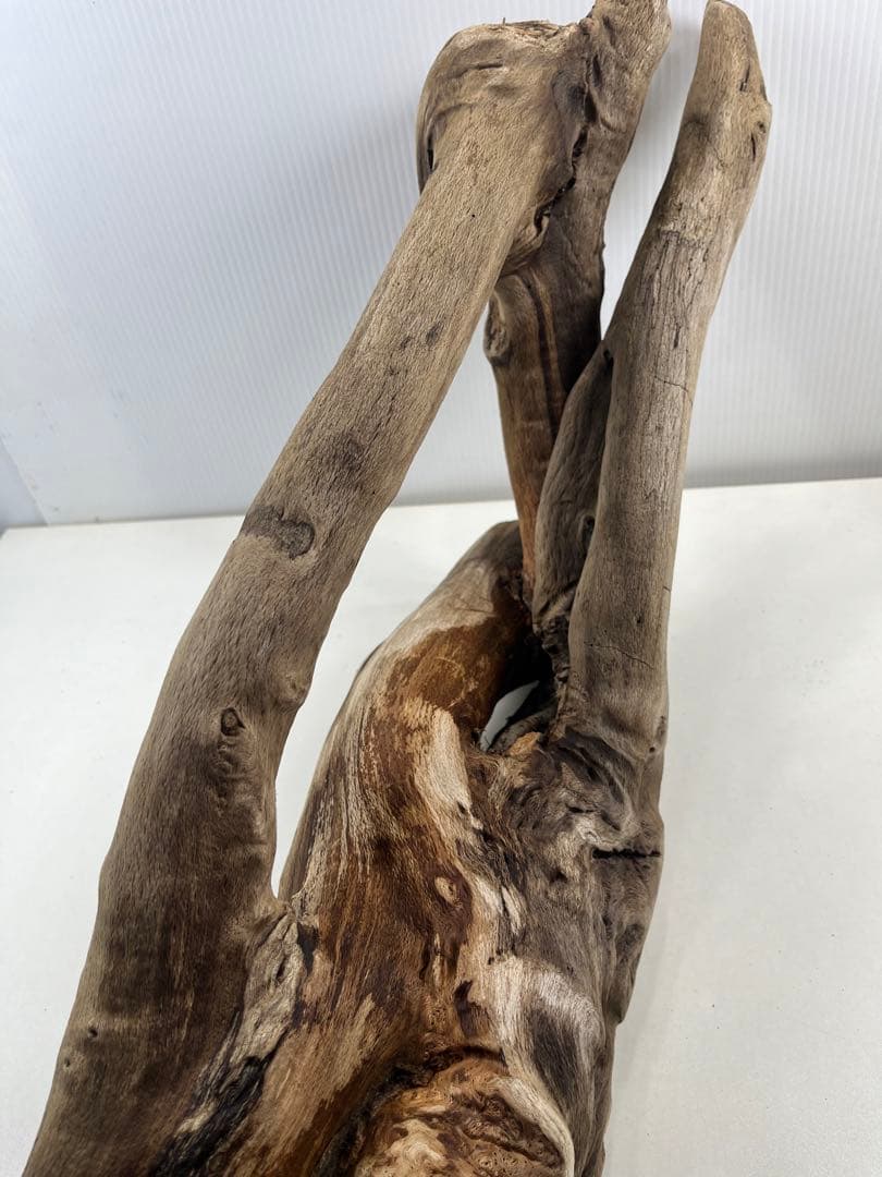 A16大型流木 アク抜き済み流木 爬虫類シェルター 登り木 インテリア 生け花