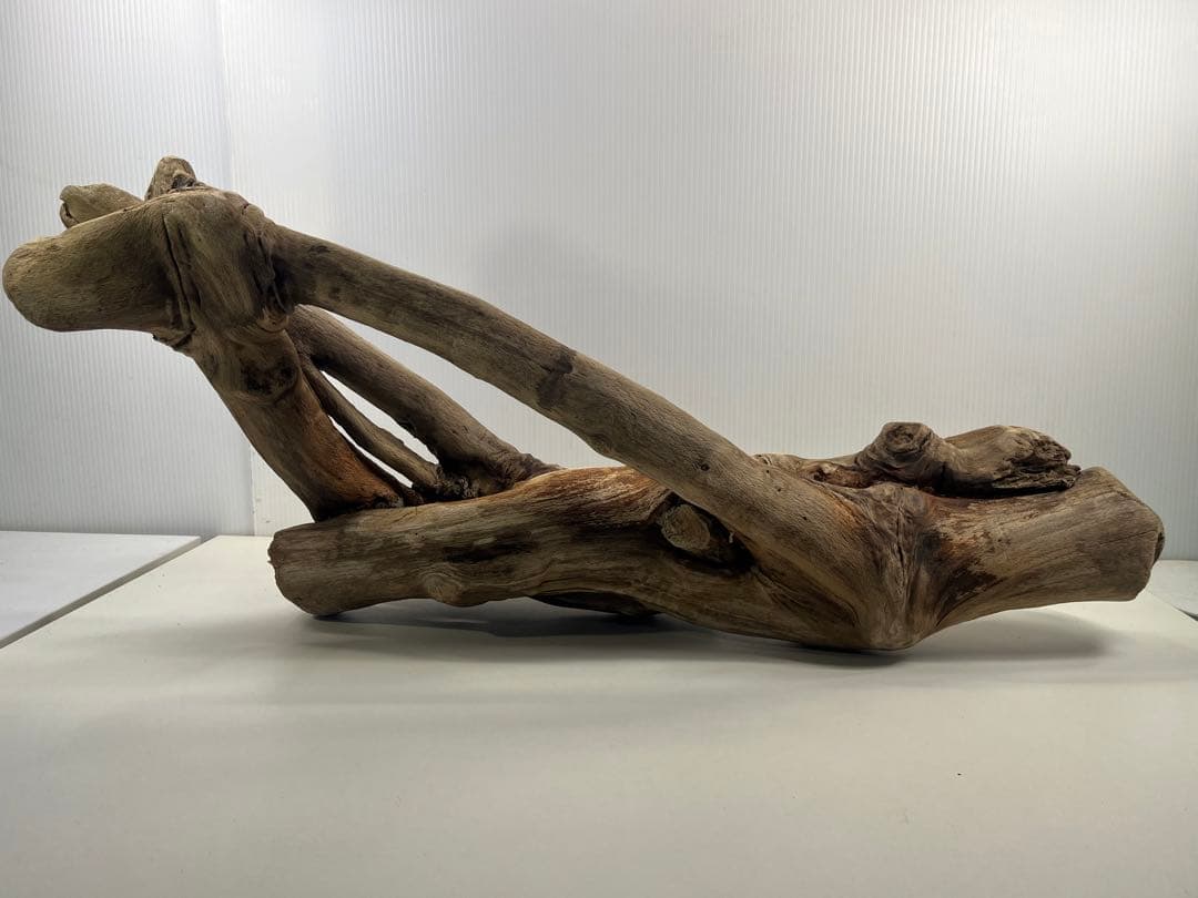 A16大型流木 アク抜き済み流木 爬虫類シェルター 登り木 インテリア 生け花