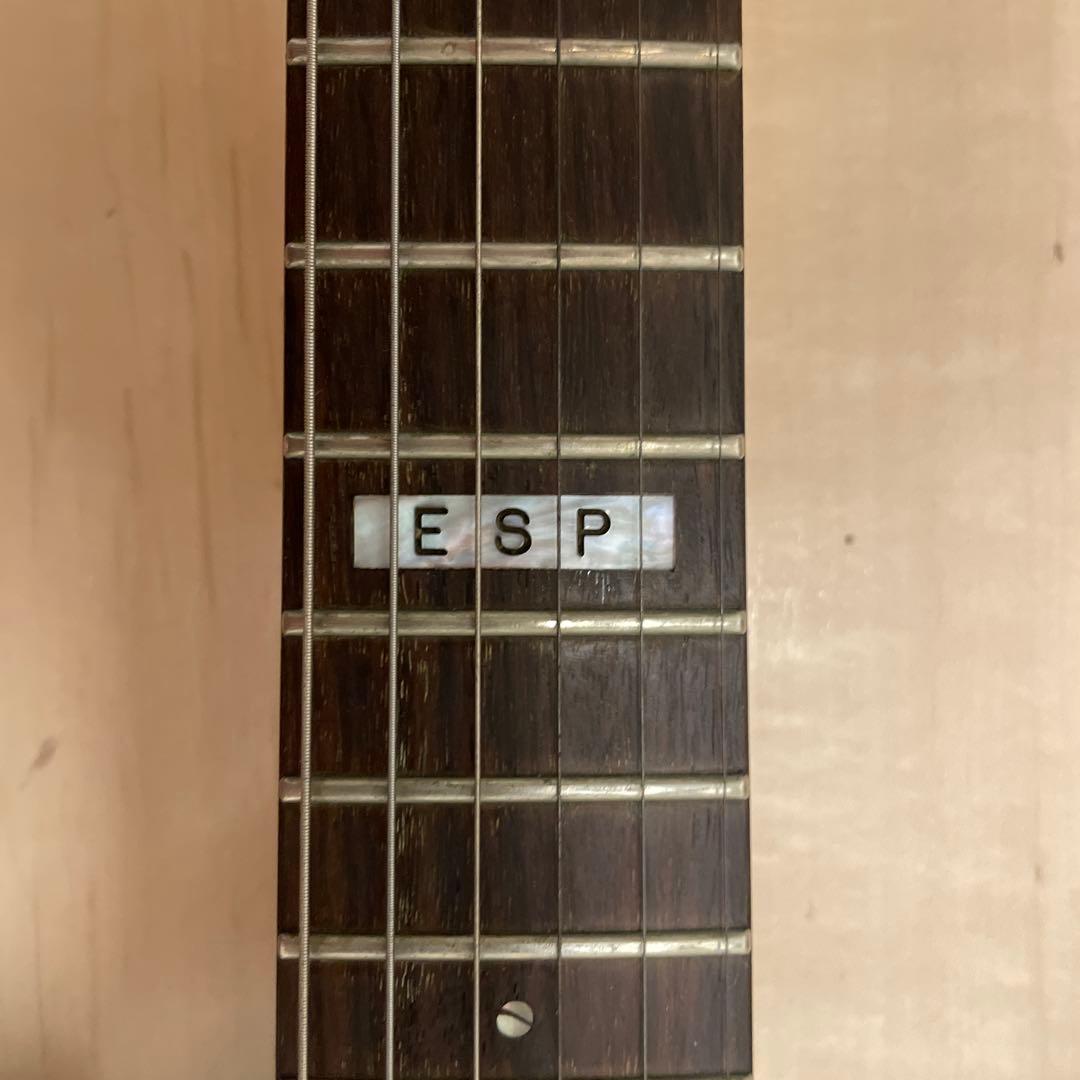 ESP HORIZON ホライゾン ギター Seymour Duncan PU