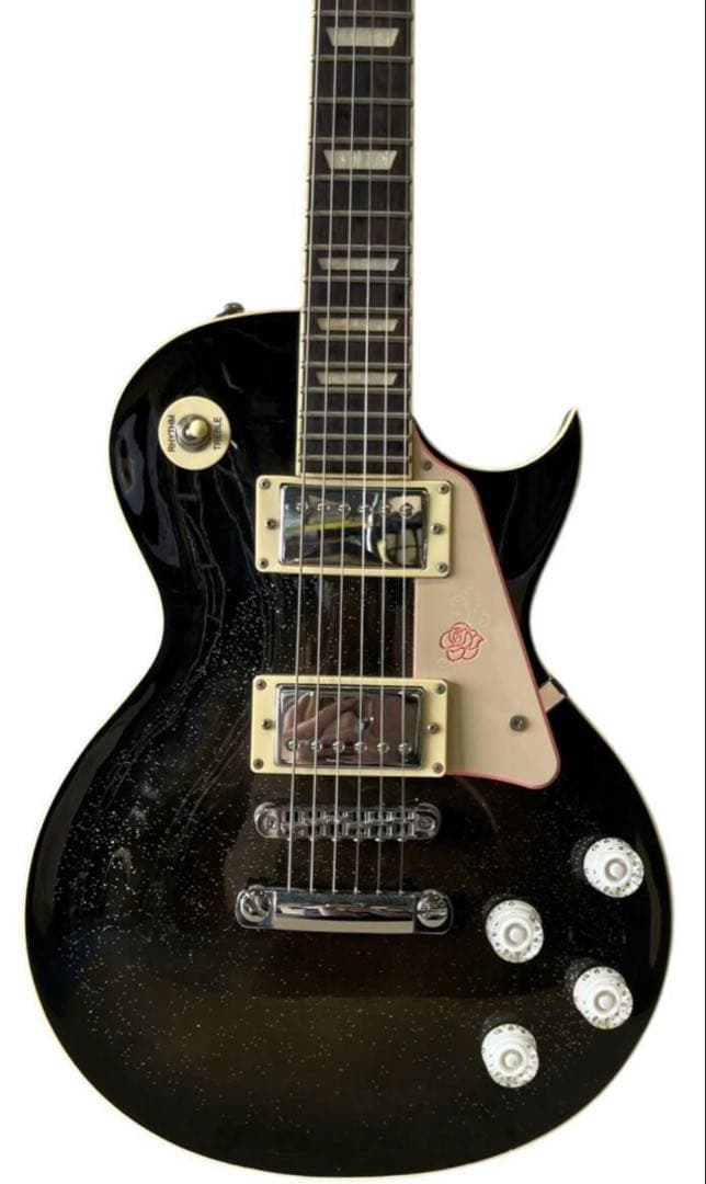 GYPSY ROSE ジプシーローズ レスポールタイプ　ソフトケース付き