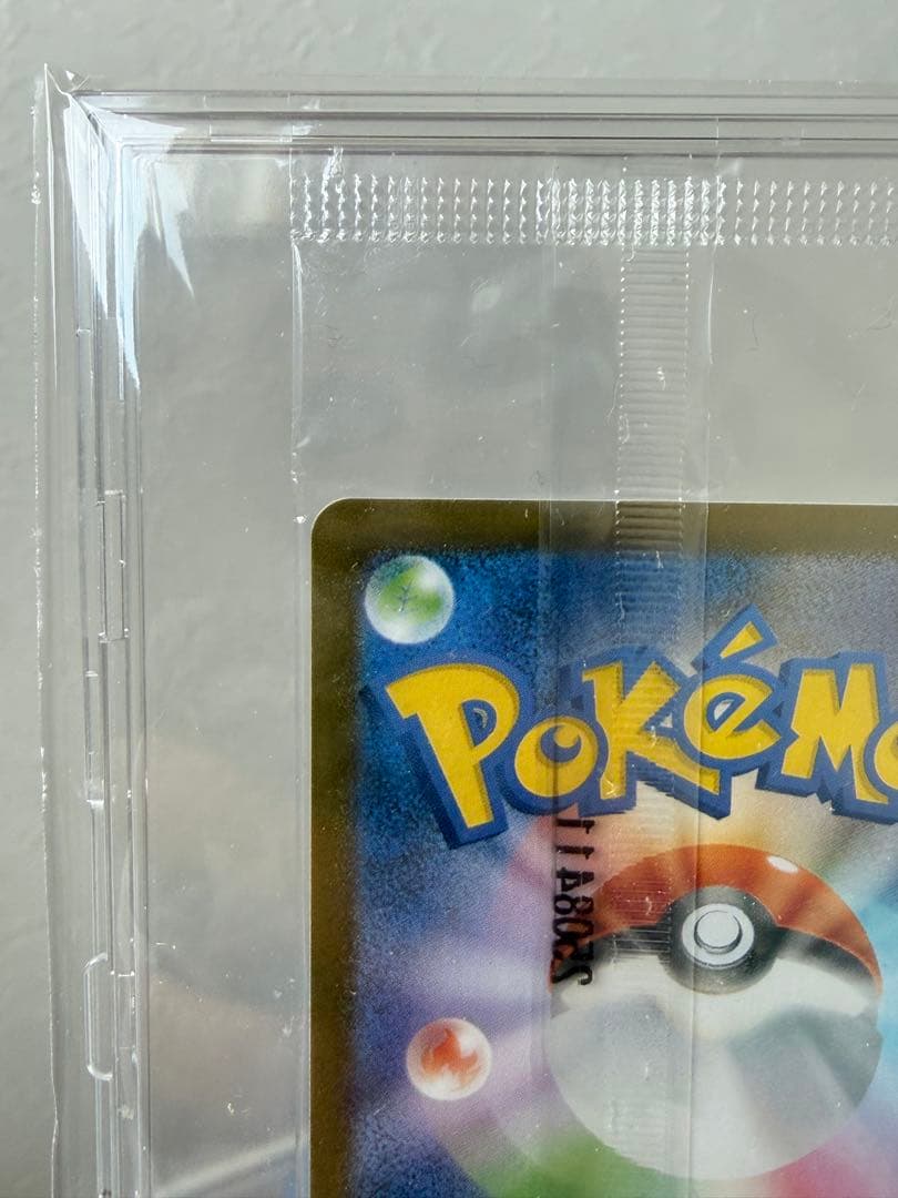 ポケモンカード トウホク、フクオカスペシャルBOXセット＋ブラッキーSAR