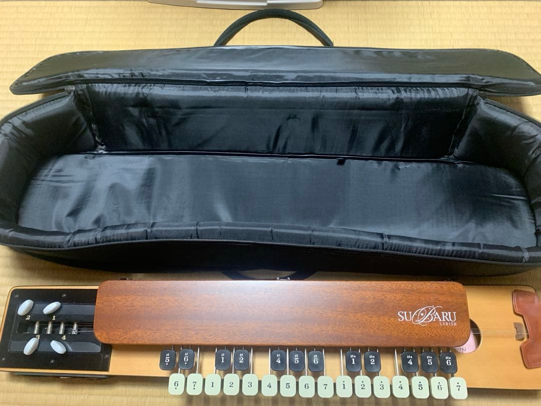 【送料込】大正琴 ライリッシュ スバル　ソプラノ