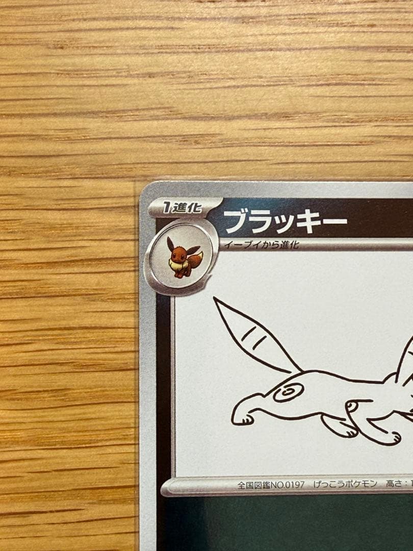 [極美品] ポケモンカード YU NAGABA ブラッキー