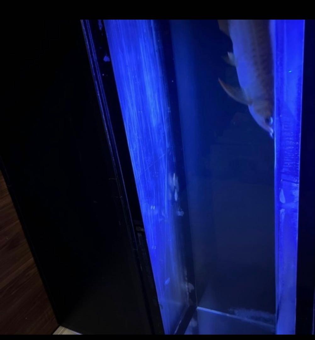 アクリル水槽 1500x500