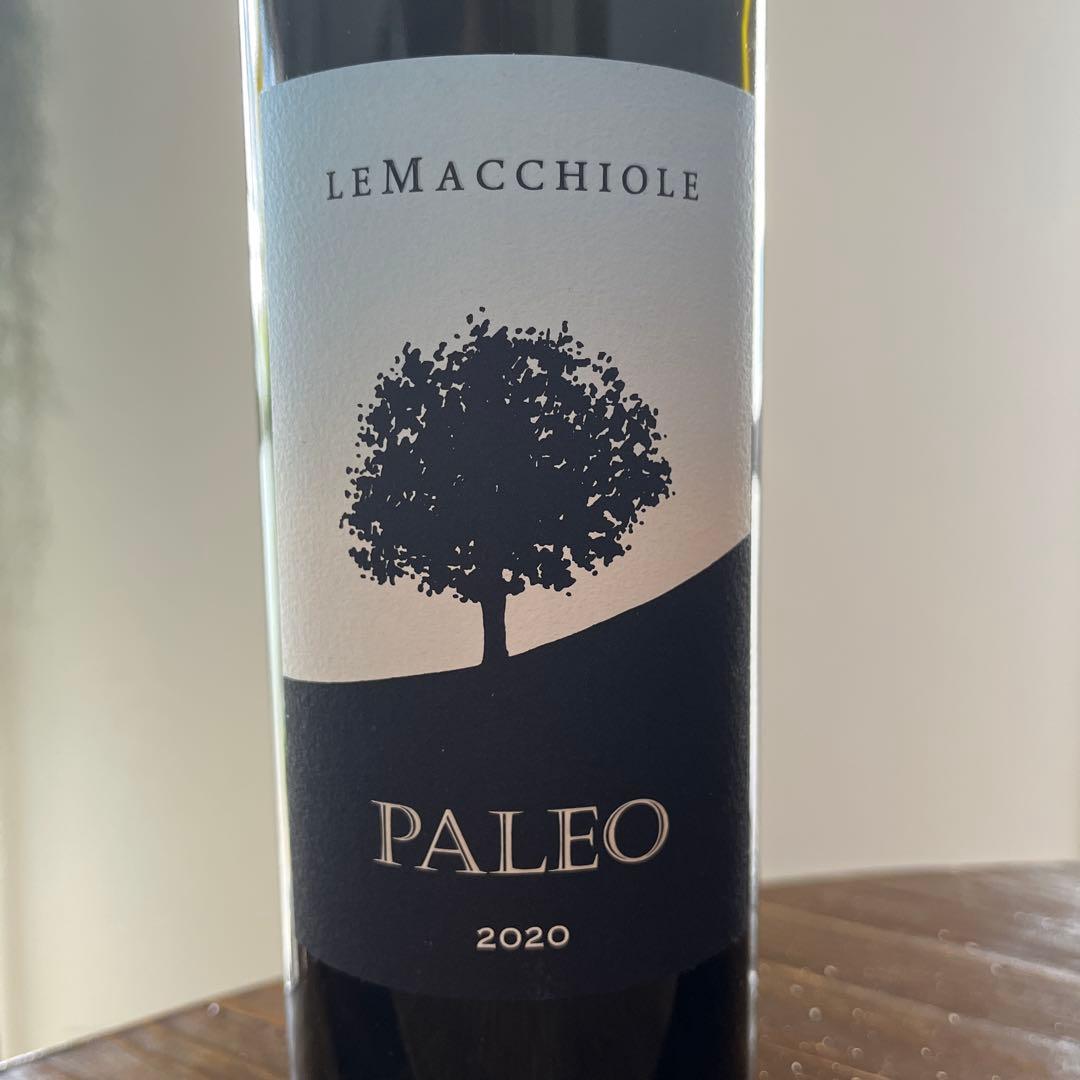 パレオ　ビアンコ2020年