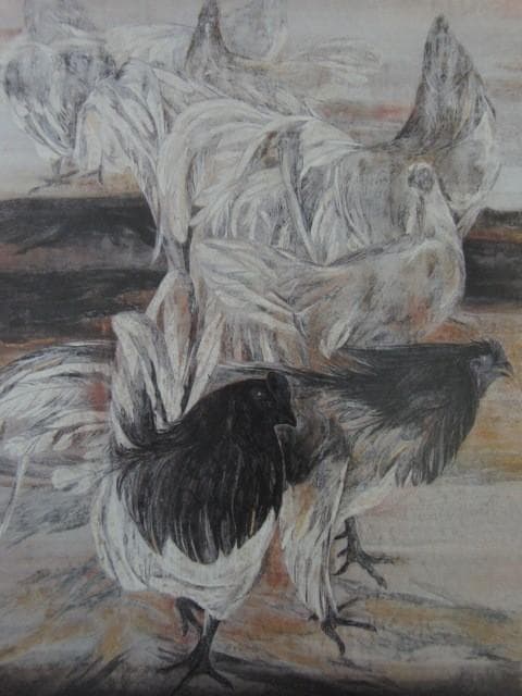 松井和弘、【群鶏（あさ図）】、希少な額装用画集より、新品額装付、状態良好